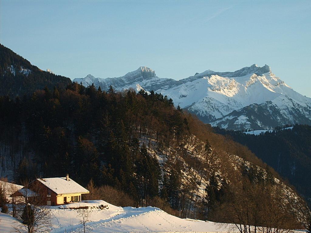 Résidence Castel Club Leysin Parc Exterior foto